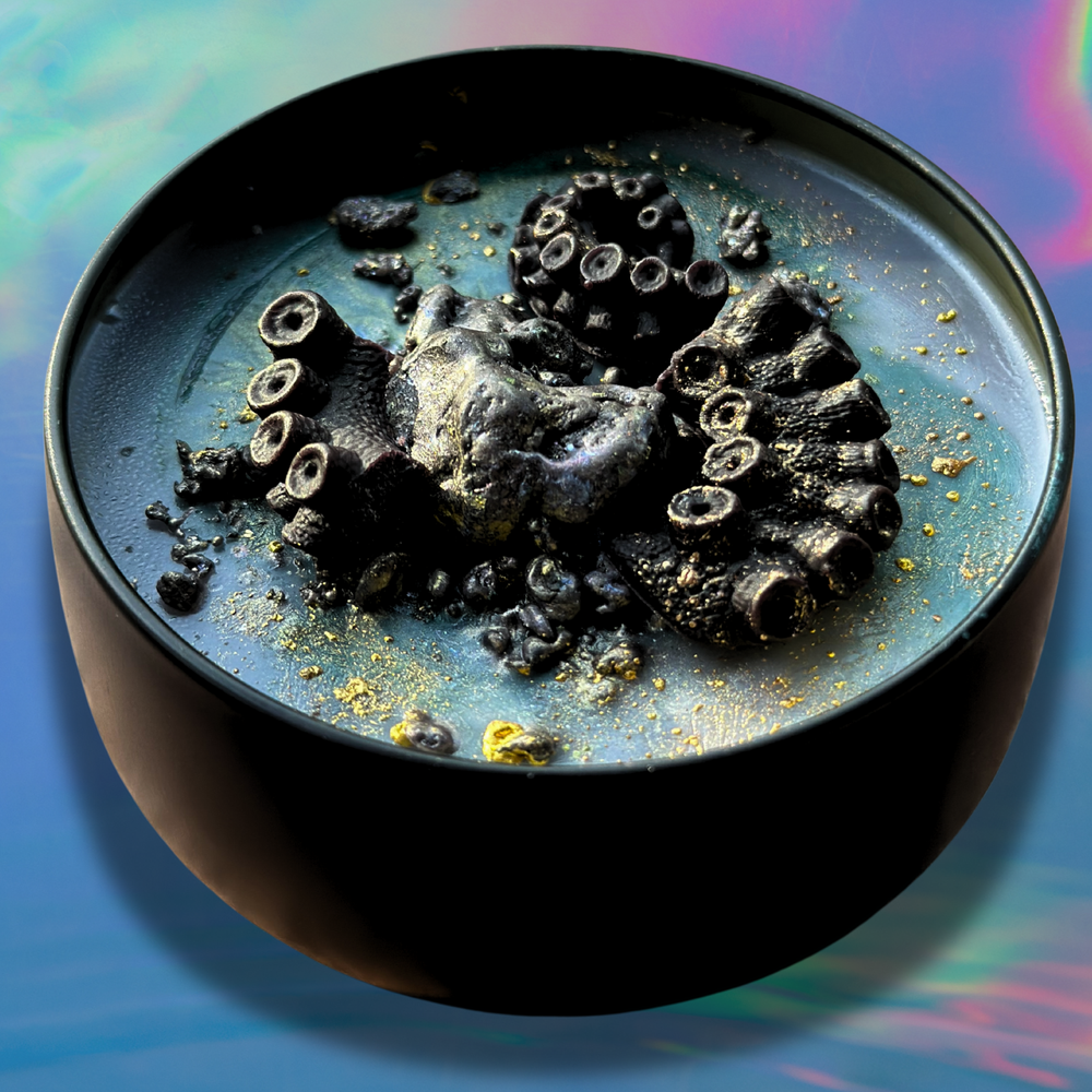 KRAKEN UNLEASHED Wickless Candle - Coco Apricot Crème Wax 6.5 oz: Amber Citrus Musk