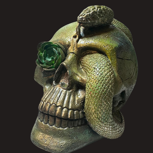Serpent & Succulent Skull Hand-Painted Gothic Decor