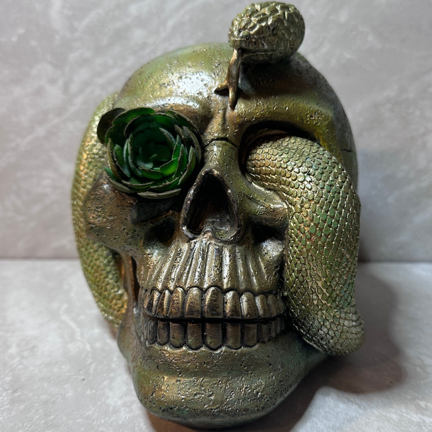 Serpent & Succulent Skull Hand-Painted Gothic Decor