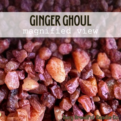 Ginger Ghoul Sizzling Room Salt Crystal Potpourri: Ginger Amber Oatmilk Scent