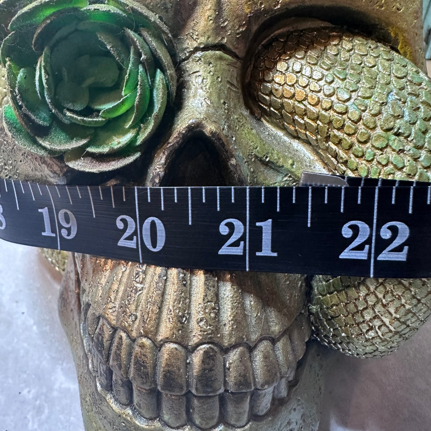 Serpent & Succulent Skull Hand-Painted Gothic Decor