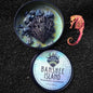 BANSHEE ISLAND Luxury Wickless Candle 6.5 oz: Bamboo & Coconut Scent - Gory Dreadful Candle Co