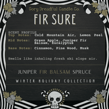 FIR SURE Sizzling Room Salt Crystal Potpourri: Juniper Fir Balsam Spruce Scent - Gory Dreadful Candle Co