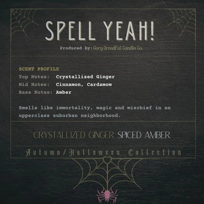 * Mini Sampler Spell Yeah! Sizzling Room Salt Crystal Potpourri: Crystallized Ginger & Spiced Amber Scent