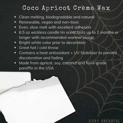 APPARITIONAL AMBITIONS Wickless Luxury Candle: Mint Nutmeg Geranium Rose Patchouli Scent