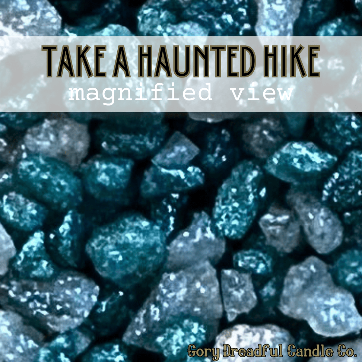 TAKE A HAUNTED HIKE Sizzling Room Salt Crystal Potpourri: Frasier Fir - Gory Dreadful Candle Co